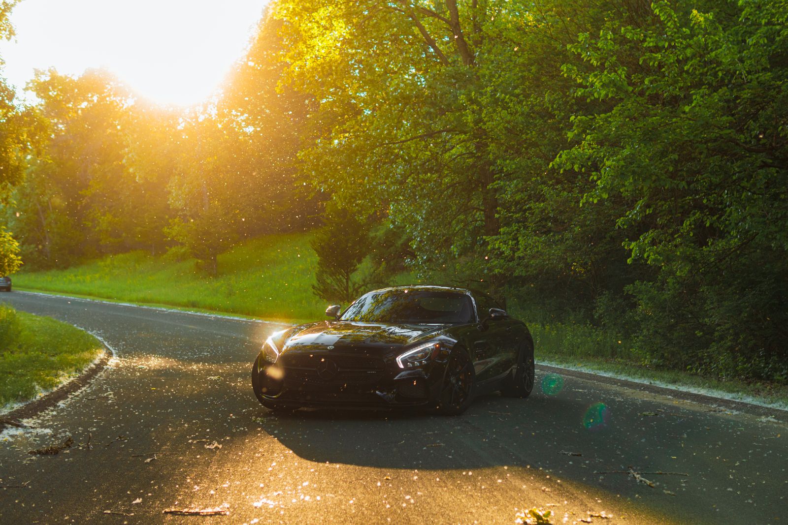 Black Mercedes-AMG GT backlit by low sun on a tree-lined road, dust and pollen glowing in the light